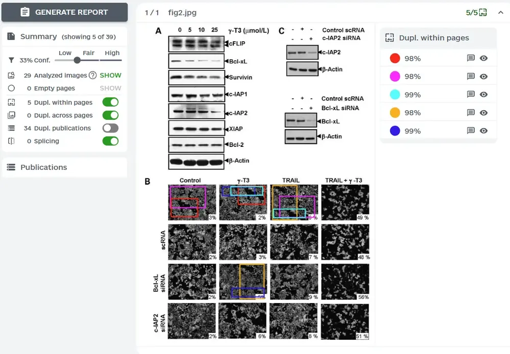 ImageTwin图片查重系统界面演示